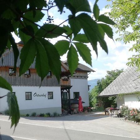Ortnerhof Ennstal Acomodação com café da manhã Aigen im Ennstal Exterior foto