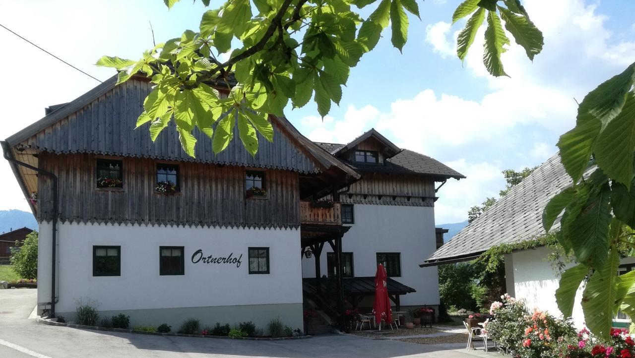 Ortnerhof Ennstal Acomodação com café da manhã Aigen im Ennstal Exterior foto